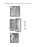 Stable Silk Protein Fragment Compositions diagram and image