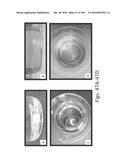 Stable Silk Protein Fragment Compositions diagram and image