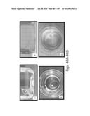 Stable Silk Protein Fragment Compositions diagram and image