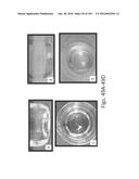 Stable Silk Protein Fragment Compositions diagram and image