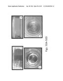 Stable Silk Protein Fragment Compositions diagram and image