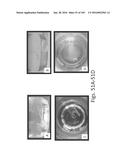 Stable Silk Protein Fragment Compositions diagram and image