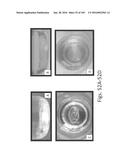 Stable Silk Protein Fragment Compositions diagram and image