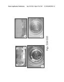 Stable Silk Protein Fragment Compositions diagram and image