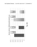 Stable Silk Protein Fragment Compositions diagram and image