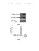 COMPOSITIONS AND METHODS FOR TREATING CANCER diagram and image