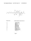 DESFERRITHIOCIN POLYETHER ANALOGUES diagram and image