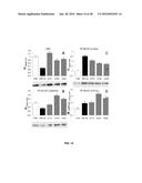 TREATMENT OF NEURODEGENERATIVE DISEASES, CAUSATION OF MEMORY ENHANCEMENT,     AND ASSAY FOR SCREENING COMPOUNDS FOR SUCH diagram and image