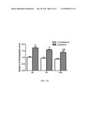 O-GLCNACYLATION TREATMENT FOR ISCHEMIC BRAIN INJURY diagram and image