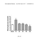 O-GLCNACYLATION TREATMENT FOR ISCHEMIC BRAIN INJURY diagram and image