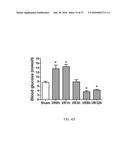 O-GLCNACYLATION TREATMENT FOR ISCHEMIC BRAIN INJURY diagram and image