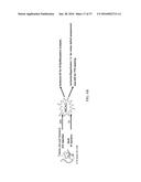 O-GLCNACYLATION TREATMENT FOR ISCHEMIC BRAIN INJURY diagram and image
