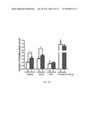 O-GLCNACYLATION TREATMENT FOR ISCHEMIC BRAIN INJURY diagram and image