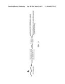 O-GLCNACYLATION TREATMENT FOR ISCHEMIC BRAIN INJURY diagram and image