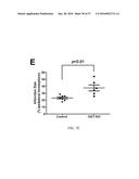 O-GLCNACYLATION TREATMENT FOR ISCHEMIC BRAIN INJURY diagram and image