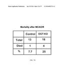 O-GLCNACYLATION TREATMENT FOR ISCHEMIC BRAIN INJURY diagram and image