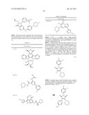 COMPOSITIONS AND METHODS FOR TREATING DISEASE STATES ASSOCIATED WITH     ACTIVATED T CELLS AND/OR B CELLS diagram and image