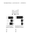 BUTYROGENIC BACTERIA AS PROBIOTICS TO TREAT CLOSTRIDIUM DIFFICILE diagram and image