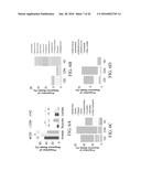 BUTYROGENIC BACTERIA AS PROBIOTICS TO TREAT CLOSTRIDIUM DIFFICILE diagram and image