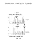 BUTYROGENIC BACTERIA AS PROBIOTICS TO TREAT CLOSTRIDIUM DIFFICILE diagram and image