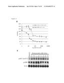 THERAPEUTIC METHODS FOR TREATING SOLID TUMORS AND RELATED DIAGNOSTIC     METHODS diagram and image