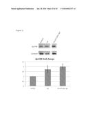 THERAPEUTIC METHODS FOR TREATING SOLID TUMORS AND RELATED DIAGNOSTIC     METHODS diagram and image