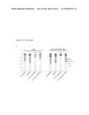 THERAPEUTIC METHODS FOR TREATING SOLID TUMORS AND RELATED DIAGNOSTIC     METHODS diagram and image