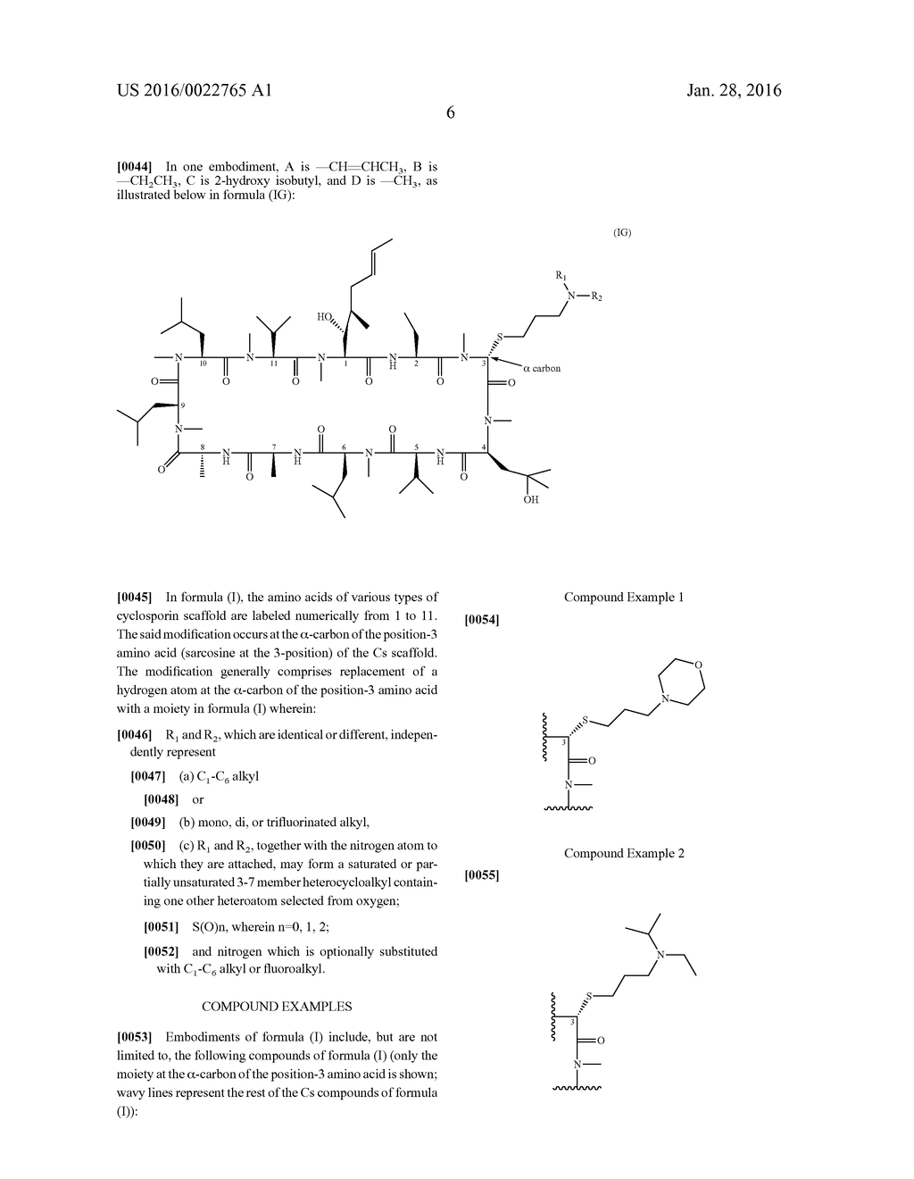 Cyclosporin Analogs - diagram, schematic, and image 07