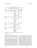 INDIVIDUALIZED HIGH PURITY COLON CARCINOMA STEM CELLS, METHODS AND USE OF     THE SAME diagram and image