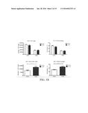 COMPOSITIONS FOR TREATMENT AND/OR PREVENTION OF AUTOIMMUNE DISORDERS diagram and image