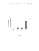 Synthetic Immunogens For Prophylaxis Or Treatment Of Tuberculosis diagram and image