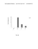 Synthetic Immunogens For Prophylaxis Or Treatment Of Tuberculosis diagram and image