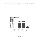 Synthetic Immunogens For Prophylaxis Or Treatment Of Tuberculosis diagram and image