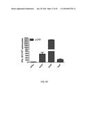 Synthetic Immunogens For Prophylaxis Or Treatment Of Tuberculosis diagram and image