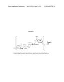 COMPOSITIONS AND METHODS FOR PREPARING STAPHYLOCOCCUS AUREUS SEROTYPE 5     AND 8 CAPSULAR POLYSACCHARIDE CONJUGATE IMMUNOGENIC COMPOSITIONS diagram and image