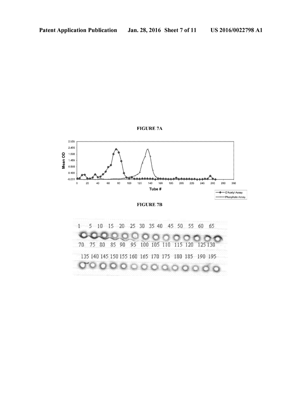 COMPOSITIONS AND METHODS FOR PREPARING STAPHYLOCOCCUS AUREUS SEROTYPE 5     AND 8 CAPSULAR POLYSACCHARIDE CONJUGATE IMMUNOGENIC COMPOSITIONS - diagram, schematic, and image 08