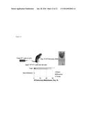 Method for Treating Cancers by Alternating Immunotherapeutics and Directly     Oncolytic Therapeutics diagram and image