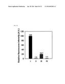 NANOPARTICLE COMPRISING HYDROPHOBIC DRUG CONJUGATED TO CATIONIC POLYMER     AND HYDROPHILIC DRUG CONJUGATED TO ANIONIC POLYMER diagram and image