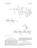 NANOPARTICLE COMPRISING HYDROPHOBIC DRUG CONJUGATED TO CATIONIC POLYMER     AND HYDROPHILIC DRUG CONJUGATED TO ANIONIC POLYMER diagram and image
