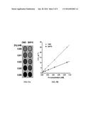 COATED MAGNETIC NANOPARTICLES FOR IMAGING ENHANCEMENT AND DRUG DELIVERY diagram and image