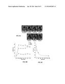 COATED MAGNETIC NANOPARTICLES FOR IMAGING ENHANCEMENT AND DRUG DELIVERY diagram and image