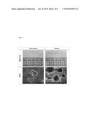 METHOD OF TREATING PLEURAL ABNORMALITY diagram and image