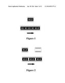 MICRODEVICE ARRAYS FORMED BY MAGNETIC ASSEMBLY diagram and image