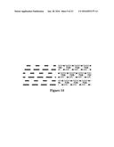 MICRODEVICE ARRAYS FORMED BY MAGNETIC ASSEMBLY diagram and image