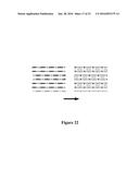 MICRODEVICE ARRAYS FORMED BY MAGNETIC ASSEMBLY diagram and image