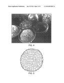 ENCLOSING MATERIALS IN NATURAL TRANSPORT SYSTEMS diagram and image