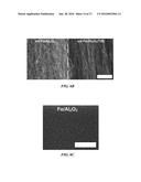 STRAIN ENGINEERED MICROSTRUCTURES diagram and image