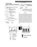 CARBON NANO-TUBE PRODUCTION FROM CARBON DIOXIDE diagram and image