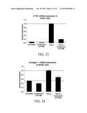 SUBSTITUTED AROMATIC COMPOUNDS FOR THE TREATMENT OF PULMONARY FIBROSIS,     LIVER FIBROSIS,SKIN FIBROSIS AND CARDIAC FIBROSIS diagram and image