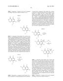 NOVEL ANTIVIRAL AGENTS AGAINST HBV INFECTION diagram and image